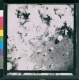 ���Ƚs��:12-4369