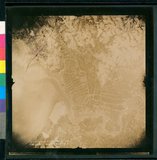 ���Ƚs��:12-4551