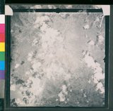 ���Ƚs��:12-4593