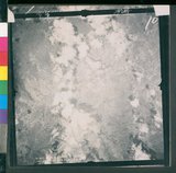 ���Ƚs��:12-4593