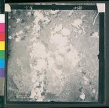 ���Ƚs��:12-4593