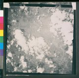 ���Ƚs��:12-4593