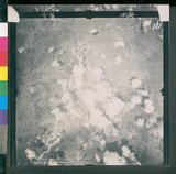 ���Ƚs��:12-4593