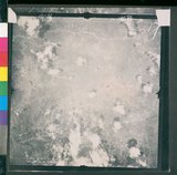 ���Ƚs��:12-4593