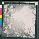 ���Ƚs��:12-4593