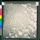 ���Ƚs��:12-4593