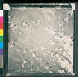 ���Ƚs��:12-4593