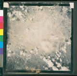 ���Ƚs��:12-4593