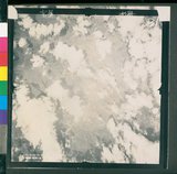 ���Ƚs��:12-4593