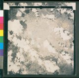 ���Ƚs��:12-4593