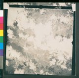 ���Ƚs��:12-4593