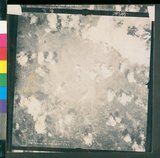 ���Ƚs��:12-4593