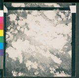 ���Ƚs��:12-4593