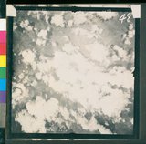 ���Ƚs��:12-4593