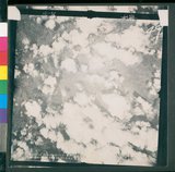 ���Ƚs��:12-4593