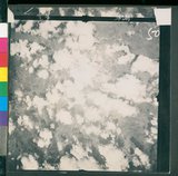 ���Ƚs��:12-4593