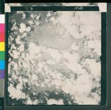 ���Ƚs��:12-4593