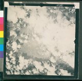 ���Ƚs��:12-4593