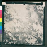 ���Ƚs��:12-4593