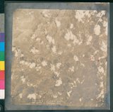 ���Ƚs��:12-4644