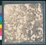 ���Ƚs��:12-4644