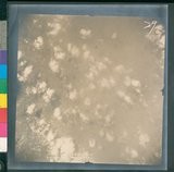 ���Ƚs��:12-4644