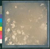 ���Ƚs��:12-4644