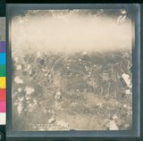 ���Ƚs��:12-4644