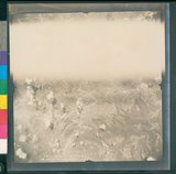 ���Ƚs��:12-4644