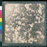 ���Ƚs��:12-4646