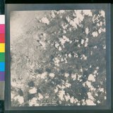 ���Ƚs��:12-4646