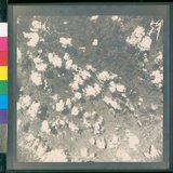 ���Ƚs��:12-4646