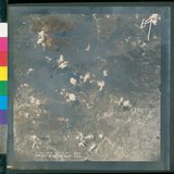 ���Ƚs��:12-4646