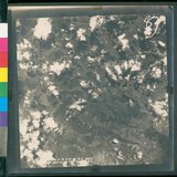 ���Ƚs��:12-4646