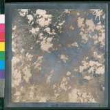 ���Ƚs��:12-4646