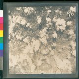 ���Ƚs��:12-4646