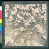 ���Ƚs��:12-4646