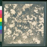 ���Ƚs��:12-4646