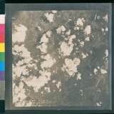 ���Ƚs��:12-4652