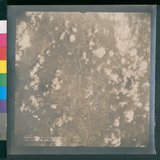 ���Ƚs��:12-4652