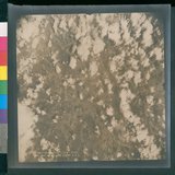 ���Ƚs��:12-4652