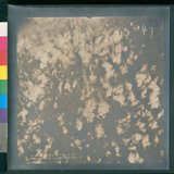 ���Ƚs��:12-4652