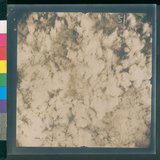 ���Ƚs��:12-4652