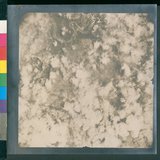 ���Ƚs��:12-4652