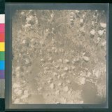 ���Ƚs��:12-4652