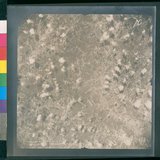 ���Ƚs��:12-4652