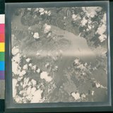 ���Ƚs��:12-4652