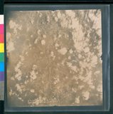 ���Ƚs��:12-4654