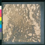 ���Ƚs��:12-4654