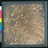 ���Ƚs��:12-4654